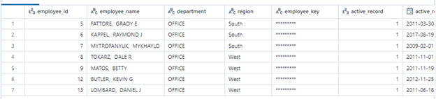 A table displaying final output view