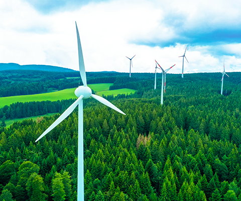 Hexaware’s Excellence in Sustainability Recognized at Net Zero Summit & Awards 2025