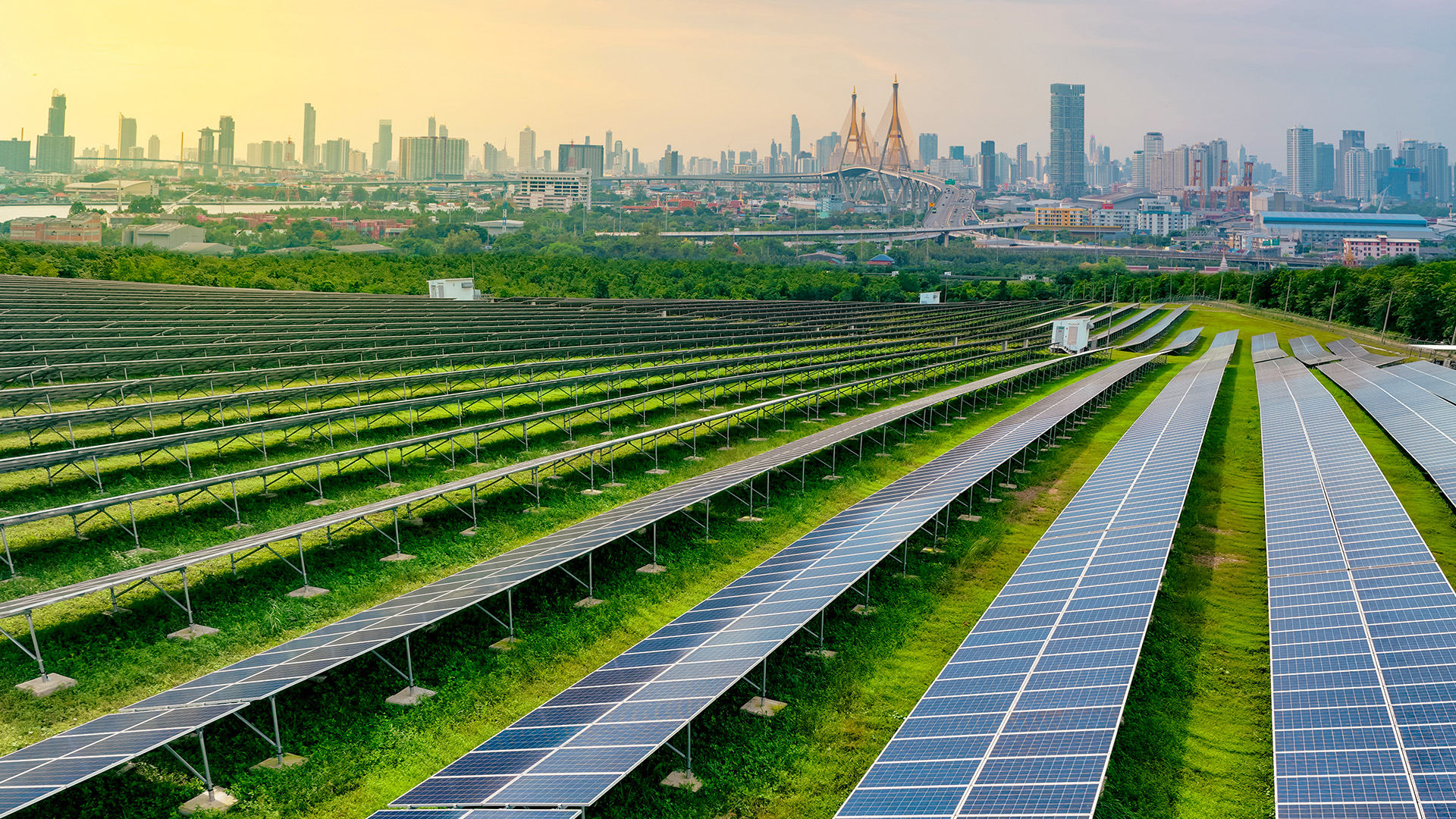 Solar panels in a field with a city skyline in the background, highlighting clean energy initiatives for sustainability.