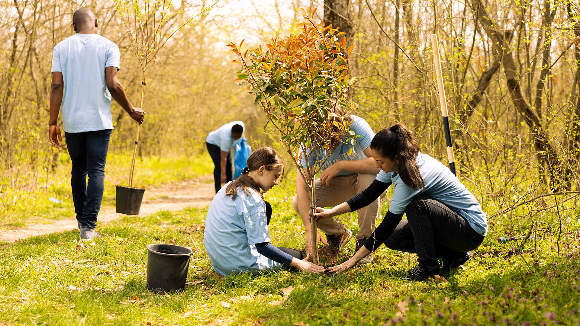 A diverse group of individuals planting trees together in a forest, promoting community action and environmental responsibility.