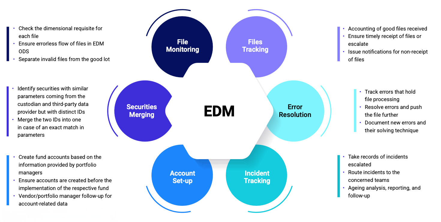 Enterprise Data Management Consulting infographics