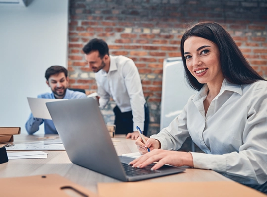 partners-SAP-Feature Insight Divider
